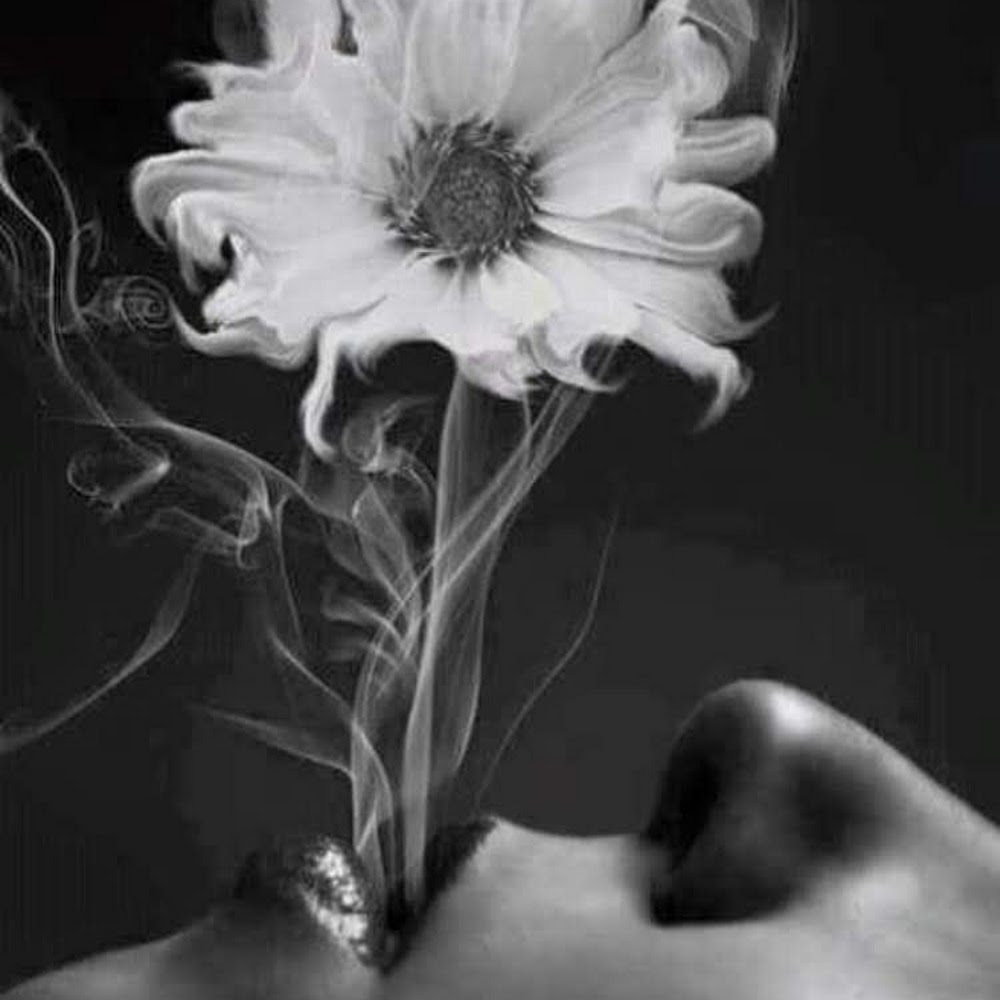 Meet your Posher, Jessicca